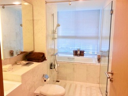 Tribeca (D9), Condominium #165310632